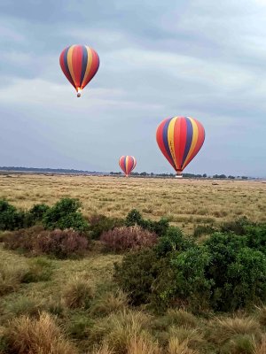 Following 3 balloons across the Maasai Mara