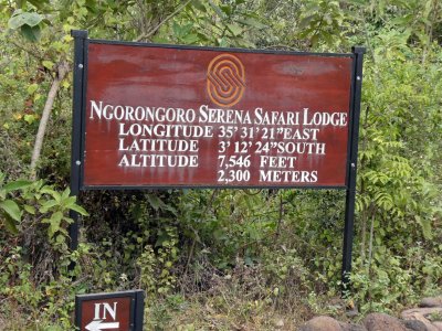 Arrival at Ngorongoro Serena Safari Lodge