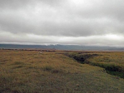 Cloud cover lifting on south side of Ngorongoro Crater