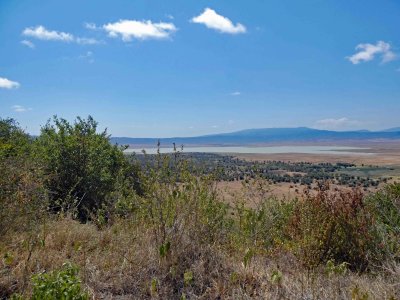 It's 2,000 feet from the crater floor to the rim where our lodge is located