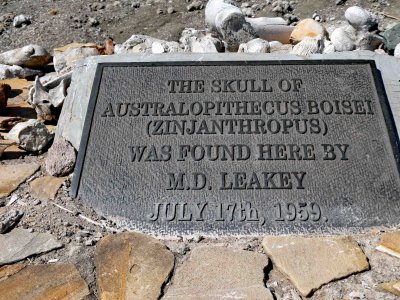 Marker where famous skull (about 1.8 million years old) was discovered