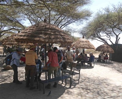 Popular picnic spot for safari groups