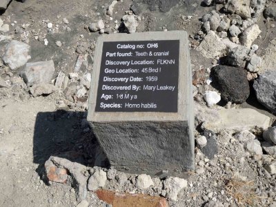 Marker showing where Homo habilis fossil was discovered