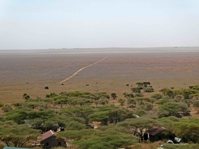 The Serengeti includes approximately 12,000 sq. mi. of land