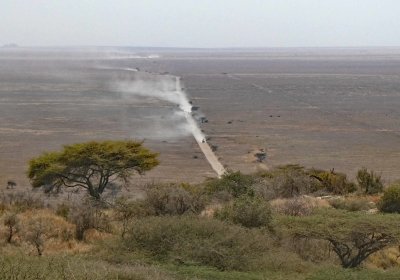 Safari vehicles traveling across the Serengeti