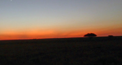 Just before sunrise on the Serengeti