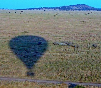 Elephants in the shadow of our balloon