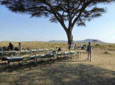 Champagne breakfast on the Serengeti