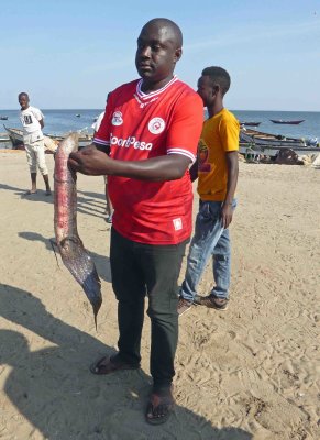 Big fish from today's catch on Lake Victoria