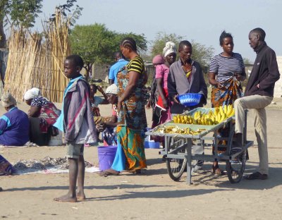 Bananas for sale in Lake Victoria village