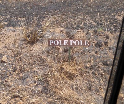 Pole Pole liberally translated means go slow