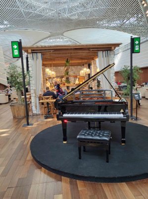 Player grand piano in Turkish Air Business Lounge in Istanbul
