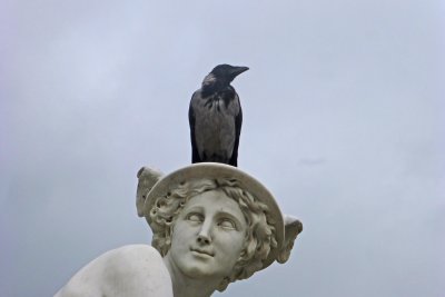 Bird on the winged Mercury statue