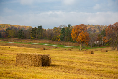 _MG_3315.jpg