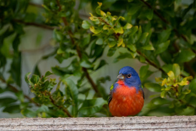 DSC_1014.jpg