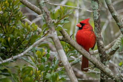 DSC_1214.jpg