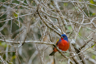 DSC_1241.jpg