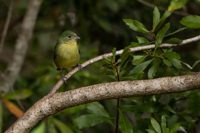 DSC_1253.jpg