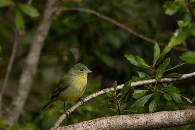 DSC_1269.jpg