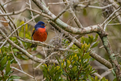 DSC_1274.jpg