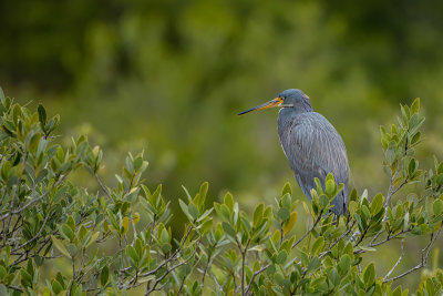 DSC_1703.jpg
