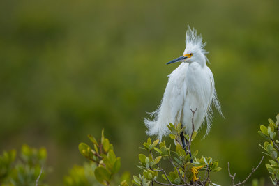 DSC_1745.jpg