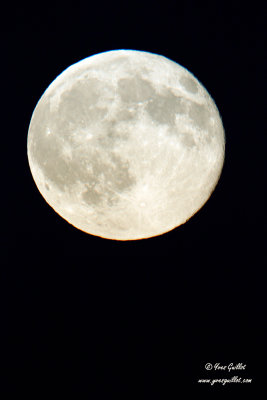 Pleine-lune-#1638.jpg