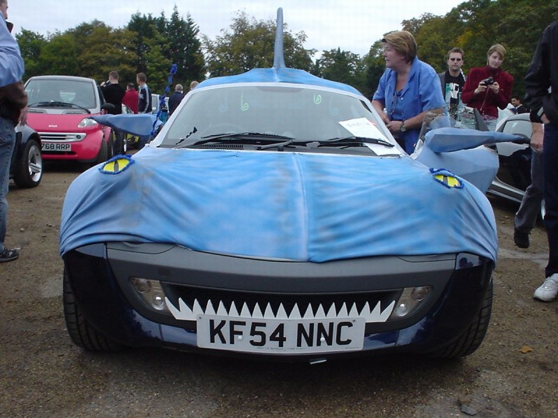 DSC06686.JPG