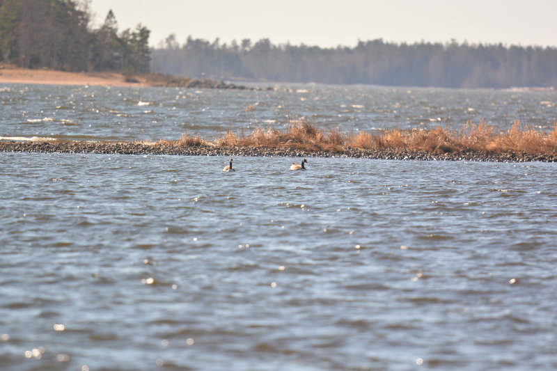 DSC_8875.JPG