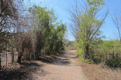 Bermajas