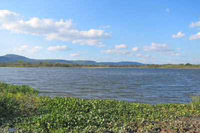 Presa Cuncuni