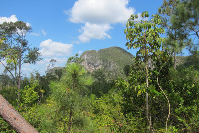 Cueva de los Portales