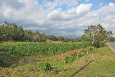 Finca el Curro
