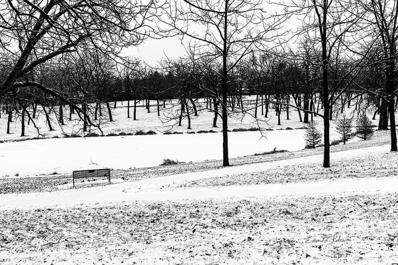 The holidays are over and the new year has arrived. The gloom of the cold winter days hangs over the park where all is quiet. Children should be sledding down the hills and skating on the ice on a fine winter day, but they are all back in school continuing their education. Maybe the park activity will pickup over the weekend.

An image may be purchased at http://fineartamerica.com/featured/cold-and-lonely-edward-peterson.html?newartwork=true