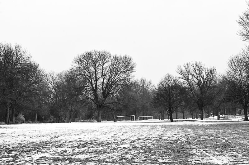During the winter season flat parks are pretty empty. Plenty of squirrels and birds.

An image may be purchased at http://fineartamerica.com/featured/empty-winter-park-edward-peterson.html