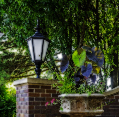 Just one of the many interesting corners in the Gerald R. Ford Birthplace Garden.

An image may be purchased at http://edward-peterson.pixels.com/featured/gerald-r-ford-birthplace-garden-edward-peterson.html?newartwork=true