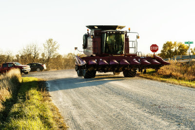 Picking Corn