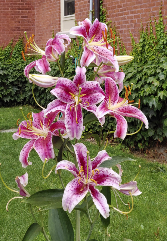 0809191447sm.jpg