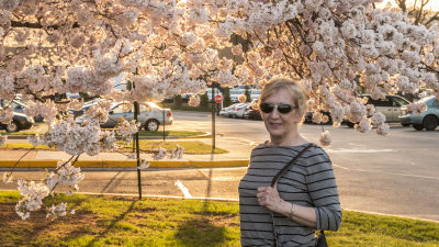 Liz and Cherry Blossoms ~ Falls Church Va ~ 04121572dpi.jpg