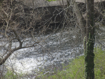 moms_photos_052221