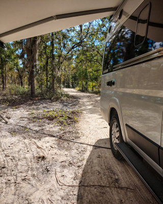 Driveway and Vince ~ Perry FL ~ 110221.jpeg