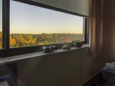 moms_photos_021222
