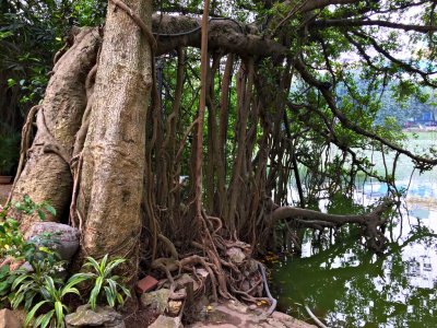 Ngoc Son Buddhist Temple