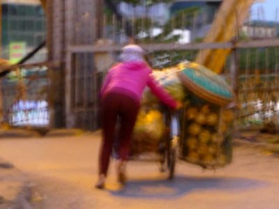 Trader with stock from the wholesale market (Impression)