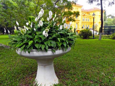  Presidential Palace