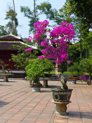 Thien Mu Pagoda