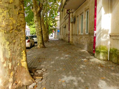 g12/61/1159561/3/170154418.ICqLMs1h.jpg