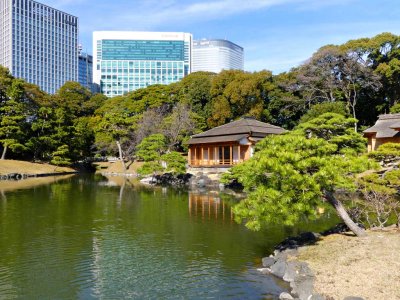 Hamarikyu Gardens