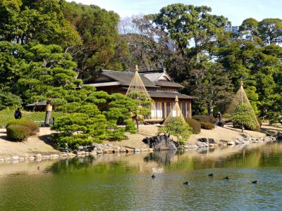 Hamarikyu Gardens