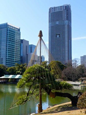 Hamarikyu Gardens